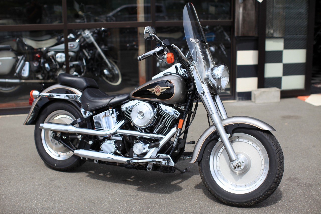 ���C���ʐ^